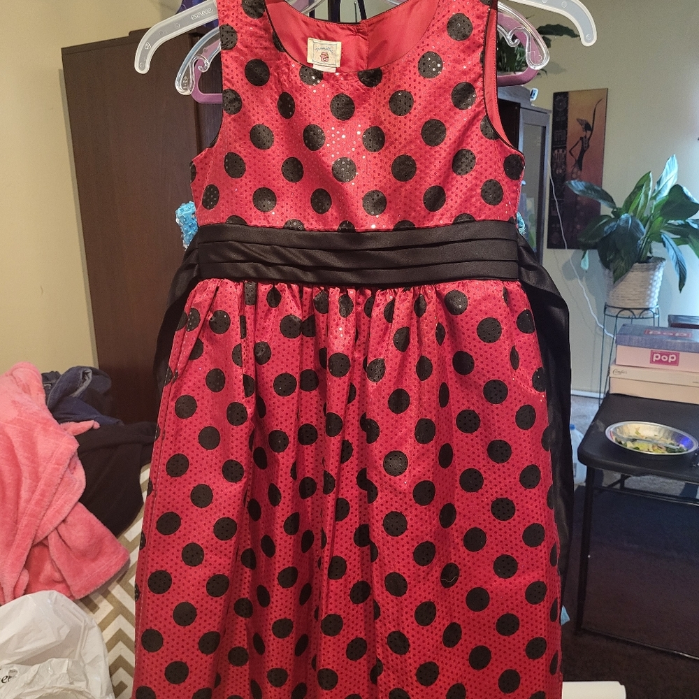 Girls dress.  Size 12